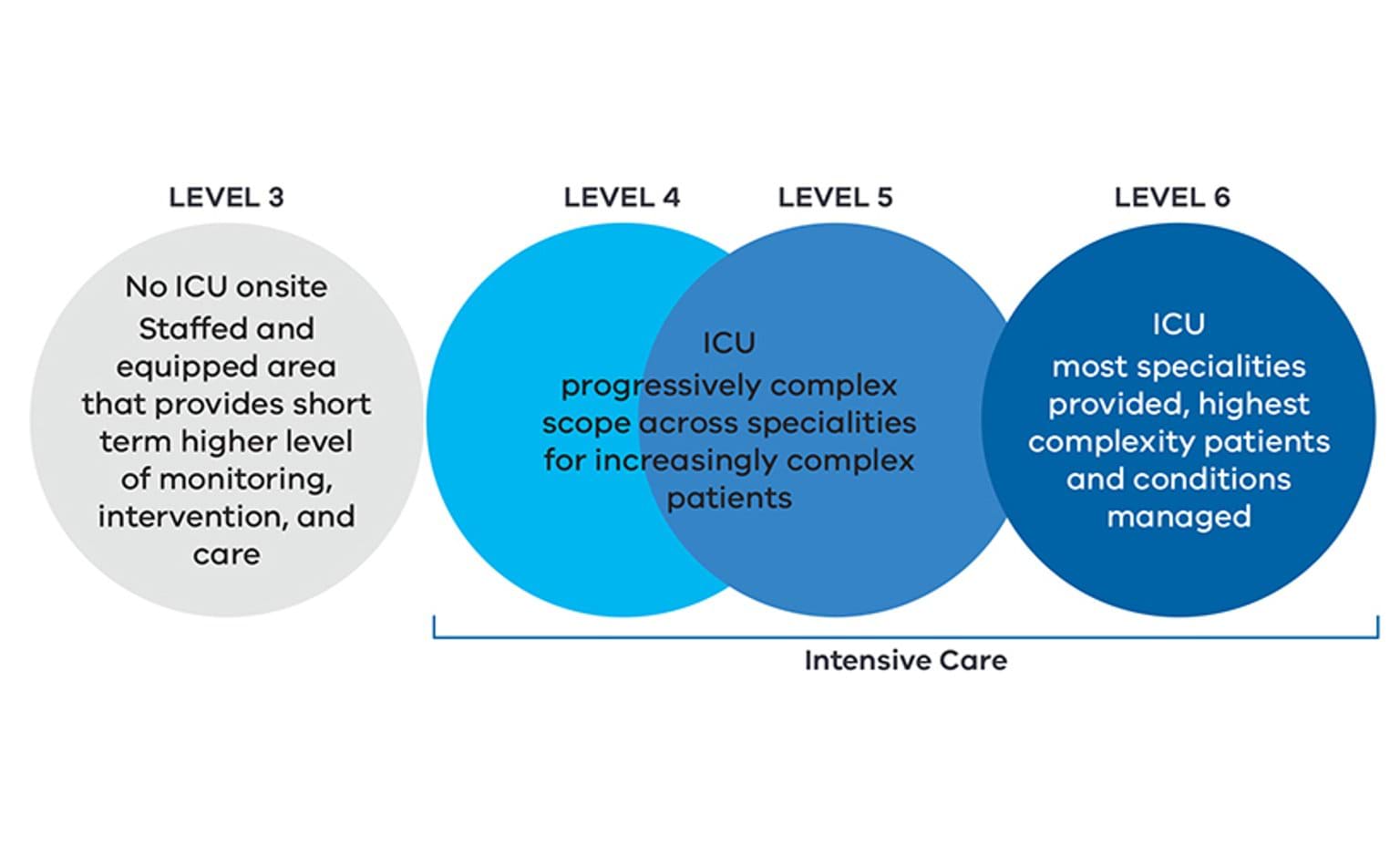 Adult critical care service tiers showing increasing capability from Level 3 through to Level 6, with ICU services provided at Levels 4 to 6 and the highest complexity care at Level 6.