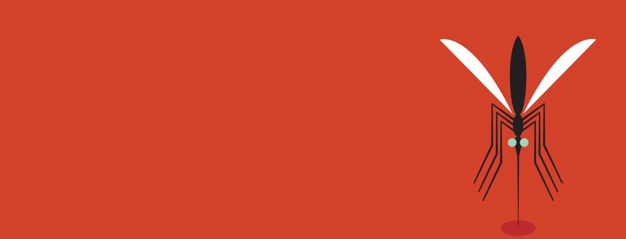 Mosquito on a red background